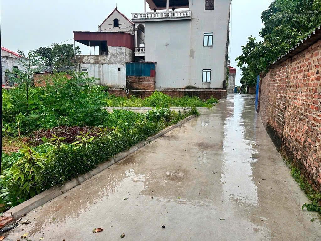 Đang cần bán đất cực đẹp  đa hội, nội bài, ngõ nông, ô tô tránh