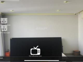 Chính chủ cần bán nhà biệt thự sân vườn đường phan văn trị bình thạnh (8x13)m