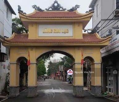 Rẻ nhất khu vưc chính chủ bán gấp , lô góc siêu đẹp siêu hiếm  quang minh mê linh hà nội .