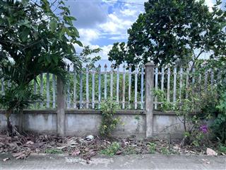 Bán đất vườn 1.200m² xe 16 chỗ tới nơi cách đường lớn chỉ 30 giây