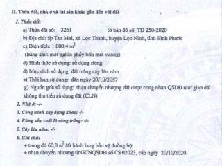 Bán đấu giá ts msb l1ấp tân mai, lộc thành, lộc ninh, bình phước (nay là xã lộc thành, đồng nai)