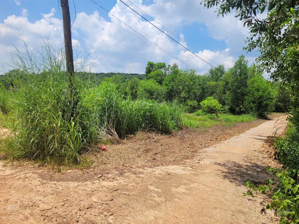 Bán đấu giá tài sản msb l3  huyện đồng phú, bình phước (nay là đồng nai)