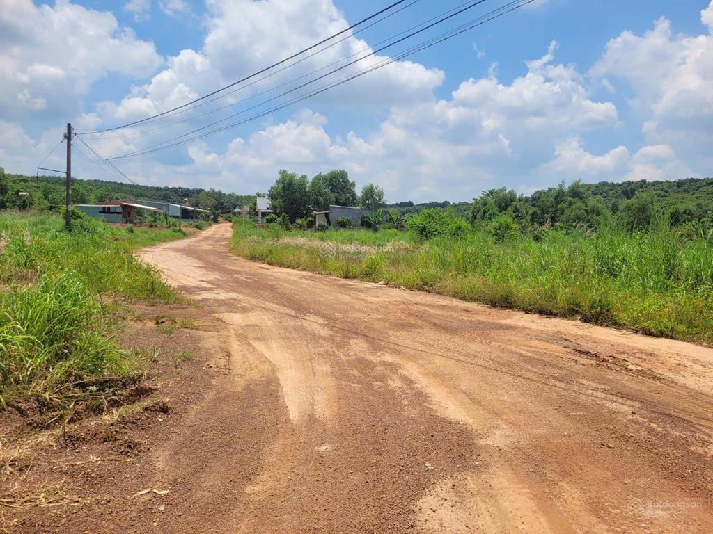 Bán đấu giá tài sản msb l3  huyện đồng phú, bình phước (nay là đồng nai)