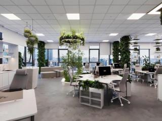 Cđt tòa hei  ngụy như kon tum cho thuê văn phòng s 85m, 105m, 150m2.. 1000m2, giá thuê 180k/m2/th