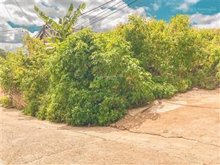Bán đất view đẹp giá rẻ đường hoàng hoa thám p.3  đà lạt vị trí kinh doanh homestay, khách sạn