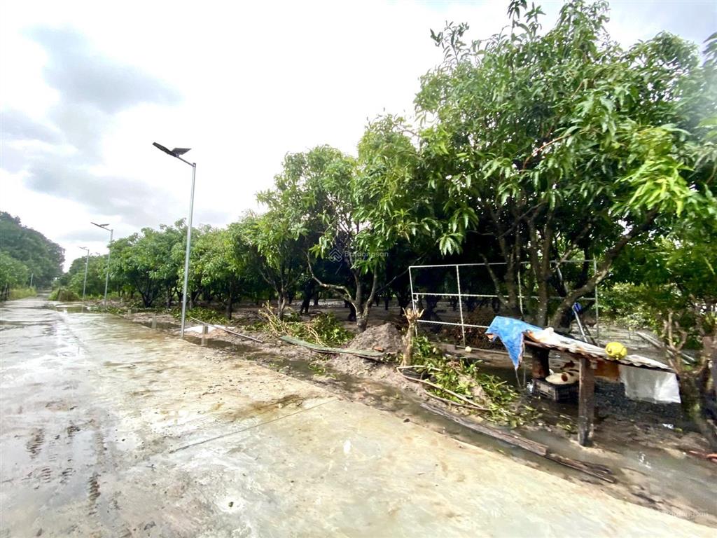 Cần bán đất quy hoạch an toàn suối tân