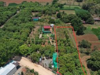 Đất vườn 1044m2 làm farm giáp hồ trị an