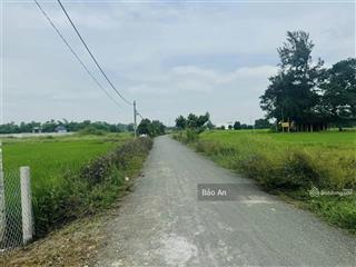 Đất sổ riêng mỹ lộc cần giuộc giá sập sàn 579tr cách ql50 1 km!