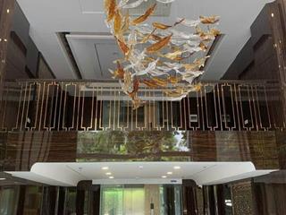 Phố quang trung, tòa nhà 8t, mặt tiền 8m, đường 30m, thông sàn, dòng tiền 70tr, giá hơn 30 tỷ