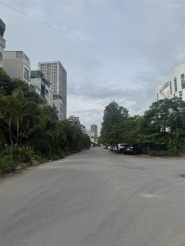 Đất phân lô vỉa hè, kinh doanh cái gì cũng ok, dt 50m2 mt 5m