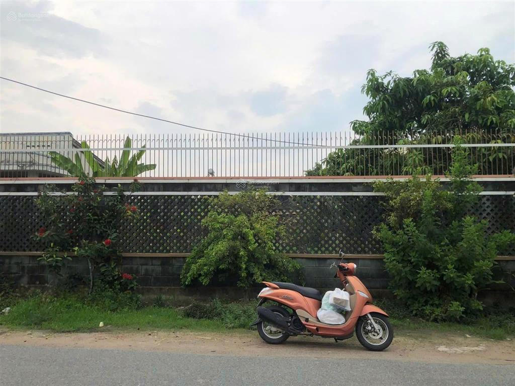 Chủ đang kẹt tiền nh cần bán gấp lô đất mặt tiền đường nhựa 481m2 10x48m tt. củ chi, tp.hcm