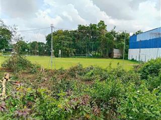 Chủ đang cần bán gấp cắt lỗ sâu lô đất thổ cư ngay tân thông hội, củ chi, dt 84m2 full thổ