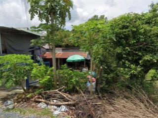 Nhà cấp 4 cần bán 175m2, đường võ văn điều, phước thạnh