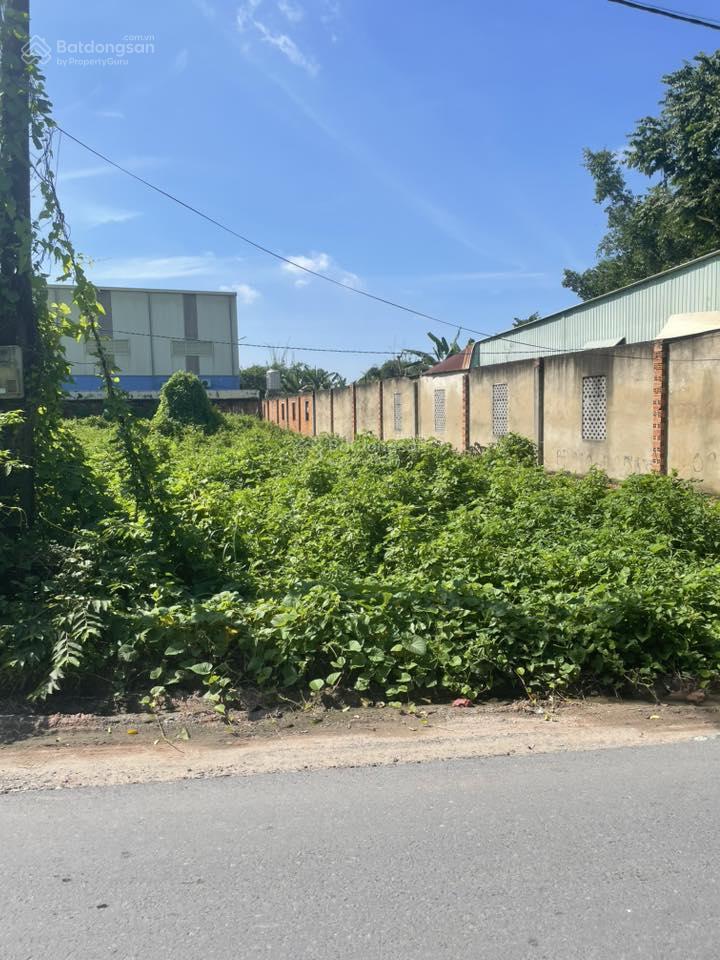 Bán đất mặt tiền nhựa 200m2, 650tr, nguyễn thị se, tân thông hội, củ chi, shr