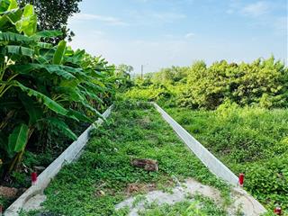 Mặt tiền nguyễn văn khạ, cần tiền gấp, đất 125m2, tân an hội. thổ cư, shr