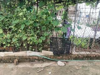 Bán 68m2 đất oto đỗ cổng tại nguyễn quý trị, gia lâm