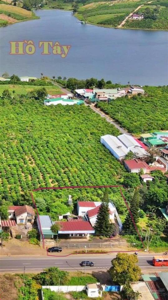 Bán gấp đất mặt tiền hùng vương, di linh, 1604m2, giá thỏa thuận