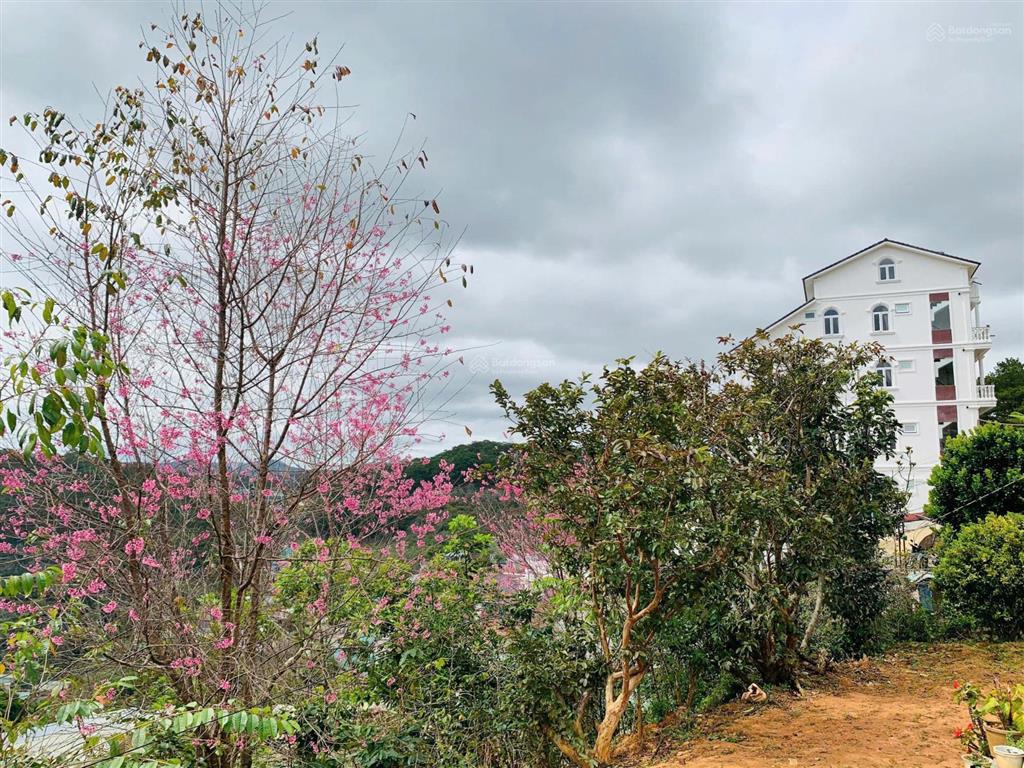 Bán biệt thự mặt tiền hoàng hoa thám, p10, đà lạt