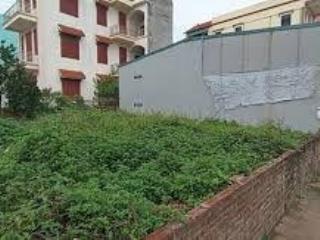 📣 CHÍNH CHỦ CẦN BÁN LÔ ĐẤT ĐẸP 65M² – NGÕ RỘNG, GẦN CHỢ – ĐA TỐN, GIA LÂM 📣