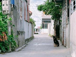 Chính chủ gửi bán lô đất đẹp tuyến 2 cách mặt
đường 404 đoàn xá  kiến thuỵ chỉ 50m diện t