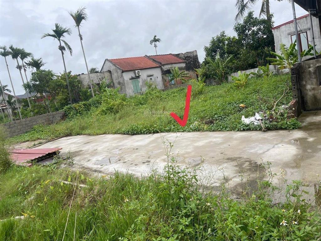 Hiện tại bên mình đang có 1 lô giá rẻ tại đoan xá 2, đoàn xá (kiến hải) hải phòng