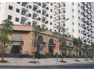 Cho thuê căn hộ 2pn + 2wc tại chung cư ruby city ct3, 54m2, giá siêu hời 6 triệu vnd