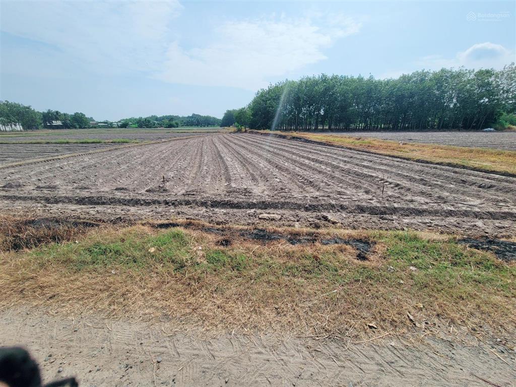 Đất lô góc 2 mặt tiền nhựa và kênh thủy lợi 12m (gia bình  trảng bàng) 821m2 giá 635 triệu