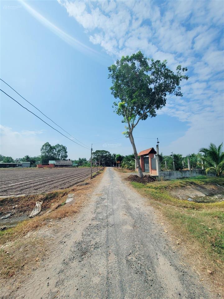 Đất lô góc 2 mặt tiền nhựa và kênh thủy lợi 12m (gia bình  trảng bàng) 821m2 giá 635 triệu