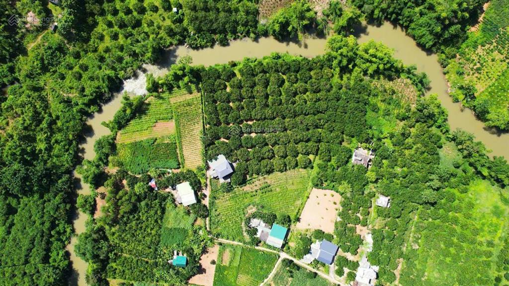 Chủ nhà bán gấp 5 lô đất có view suối tự nhiên, vườn bưởi tại hòa bình giá rẻ, vị trí đẹp