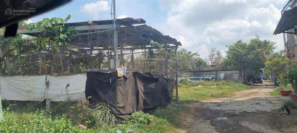 Bán gấp đất cây lâu năm của gia đình tại xã vĩnh lộc b  dt 1908m2