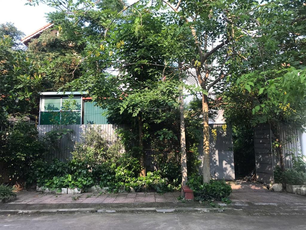 Chính chủ bán đất khu vực đường hoàng công phái, băng 2 trục đường 204 p. vĩnh phúc t. phú thọ