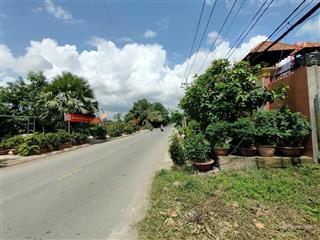 Cơ hội vàng đón sóng đầu tư bán 1.000m² đất vườn thơm, xã bình lợi, bình chánh, giá chỉ 3 tỷ