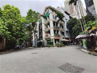 Bán nhà phân lô  lô góc  ô tô tránh  cạnh công viên phố nguyễn đổng chi  hàm nghi  nguyễn cơ