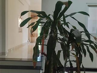 Lô mặt tiền hồ sỹ dương, 2 tầng, nguyên zin nở hậu view công viên giá đẹp