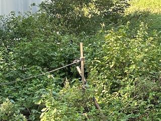 Bán mảnh đất gần phố , 10m ra ôtô tránh , đại mỗ nam từ liêm 54m 10,4 tỷ.