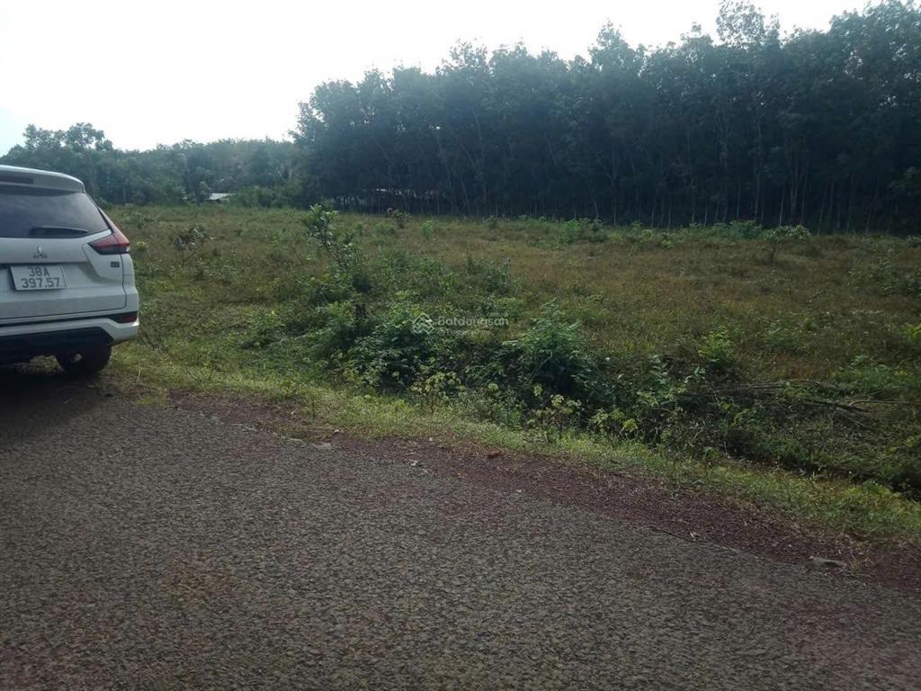 Cần bán nền đất 254,5m2 (100m2 thổ) chỉ 1tỷ100 triệu, ấp 4 an khương hớn quản bình phước(đồng nai)