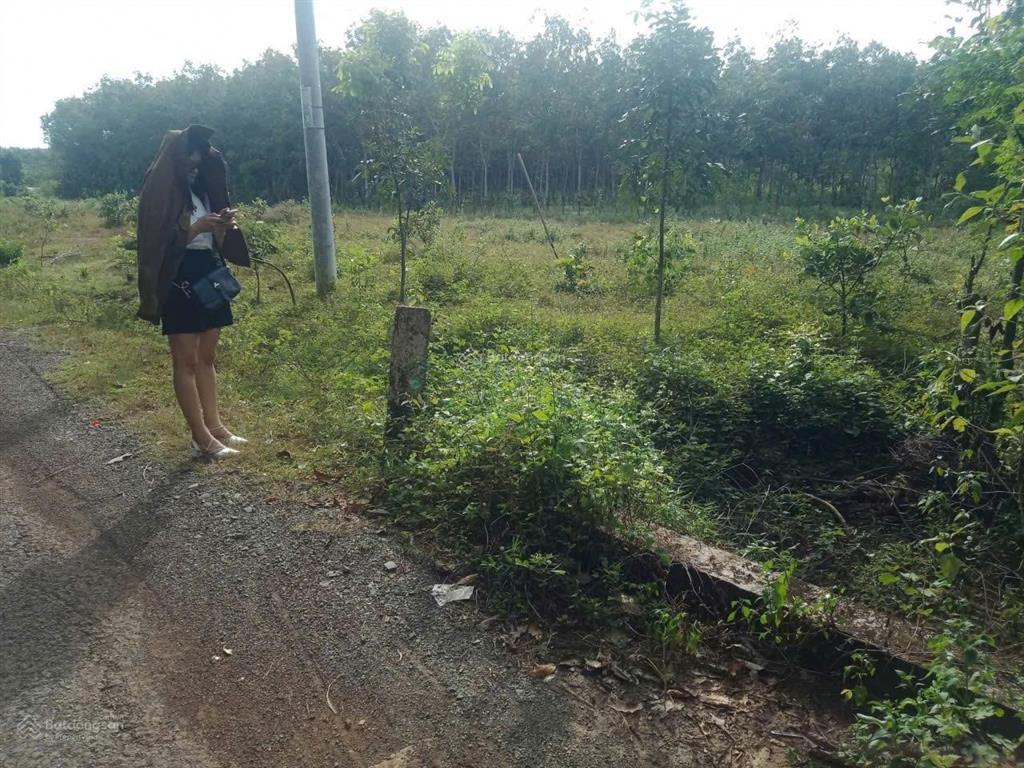 Cần bán nền đất 254,5m2 (100m2 thổ) chỉ 1tỷ100 triệu, ấp 4 an khương hớn quản bình phước(đồng nai)