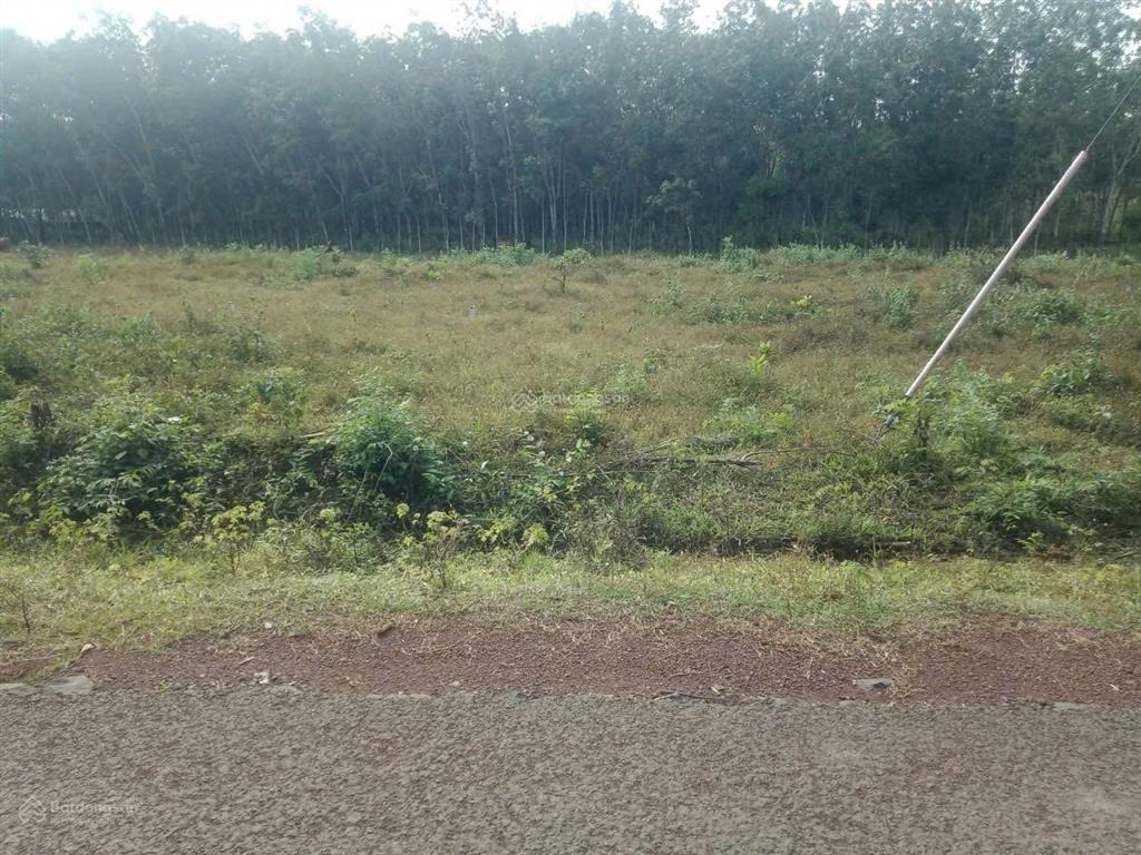 Cần bán nền đất 254,5m2 (100m2 thổ) chỉ 1tỷ100 triệu, ấp 4 an khương hớn quản bình phước(đồng nai)