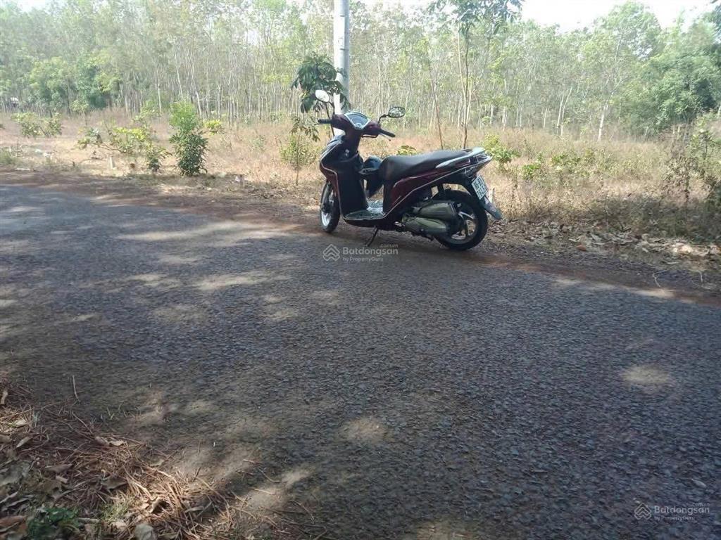 Cần bán nền đất 254,5m2 (100m2 thổ) chỉ 1tỷ100 triệu, ấp 4 an khương hớn quản bình phước(đồng nai)