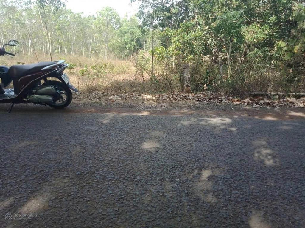 Cần bán nền đất 254,5m2 (100m2 thổ) chỉ 1tỷ100 triệu, ấp 4 an khương hớn quản bình phước(đồng nai)