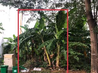 Bán đất dự án gia hoà, diện tích 100m2