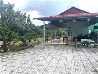 Bán đất 200m2 tại dân công hỏa tuyến, qui đức, bình chánh, qui đức, bình chánh