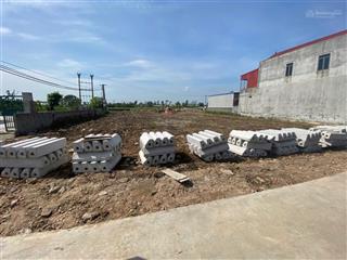 Bán đất tại đường 304, quang hưng, an lão, hải phòng, 455 triệu, 60 m2 hàng hiếm giá tốt