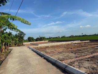 Bán đất 80m2, 650 triệu, đường 304, quang hưng, an lão, hải phòng  hot!