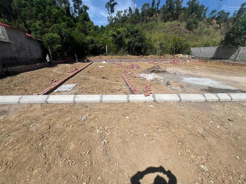 Bán gấp đất 65m2 tại quang hưng, an lão, hải phòng, giá 455 triệu