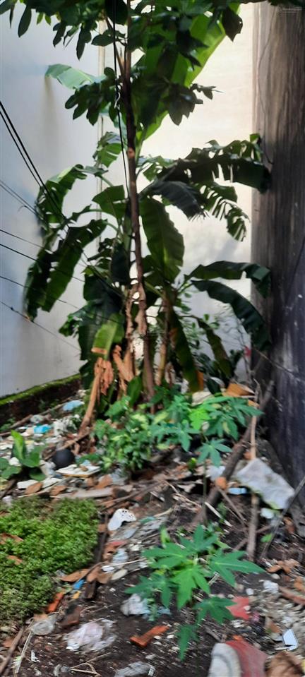 Bán đất trống siêu phẩm đường số  chu văn an  phường 26  quận bình thạnh  giá 7.8 tỷ