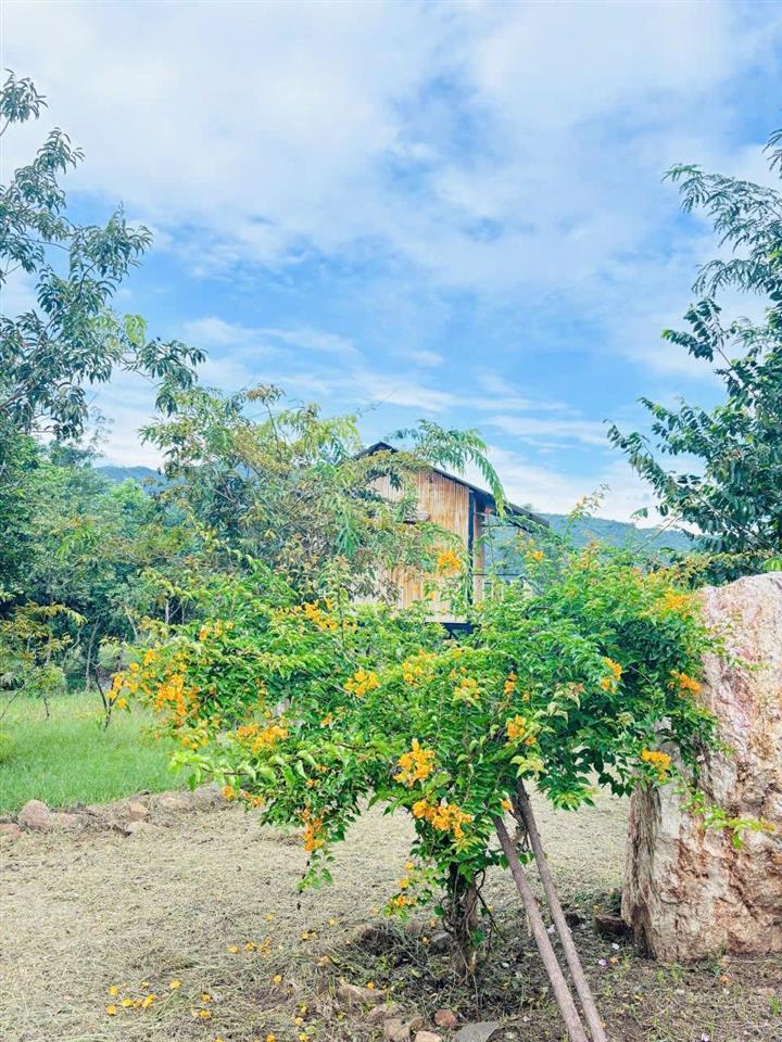 Đất mẫu khu vực xã phước trung, bác ái (cũ)