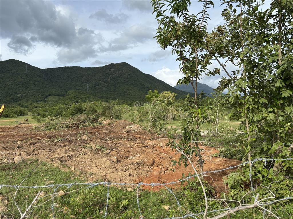 Đất mẫu khu vực xã phước trung, bác ái (cũ)