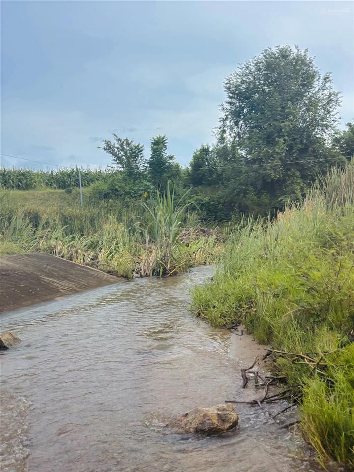 Đất mẫu khu vực xã phước trung, bác ái (cũ)