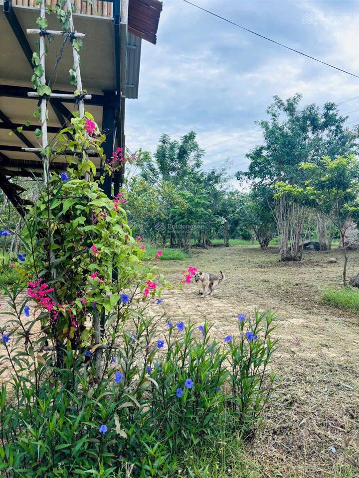 Đất mẫu khu vực xã phước trung, bác ái (cũ)